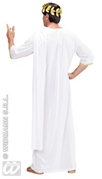 DEGUISEMENT ANTIQUITE GRECQUE - Hommes - Costumes - Déguisements et accessoires - Fête en Fête - Déguisements, mariages, baptêmes, articles de fête, halloween 