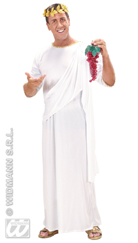 DEGUISEMENT ANTIQUITE GRECQUE - Hommes - Costumes - Déguisements et accessoires - Fête en Fête - Déguisements, mariages, baptêmes, articles de fête, halloween 