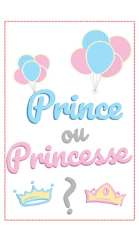 GUIRLANDE GENDER REVEAL - Baby shower - Fêtes et anniversaires - Fête en Fête - Déguisements, mariages, baptêmes, articles de fête, halloween 