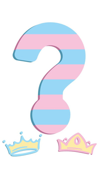 GUIRLANDE GENDER REVEAL - Baby shower - Fêtes et anniversaires - Fête en Fête - Déguisements, mariages, baptêmes, articles de fête, halloween 