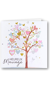 CARTE FELICITATIONS MARIAGE - Divers cérémonies - Mariages, baptêmes, communions - Fête en Fête - Déguisements, mariages, baptêmes, articles de fête, halloween 