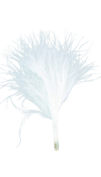 PLUME DUVETEUSE CHOCOLAT - Fleurs, papillons, plumes et sujets - Accessoires contenants - Mariages, baptêmes, communions - Fête en Fête - Déguisements, mariages, baptêmes, articles de fête, halloween 